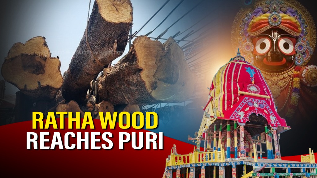 Fifth batch of Rath timber reaches Puri from Boudh Forest Division