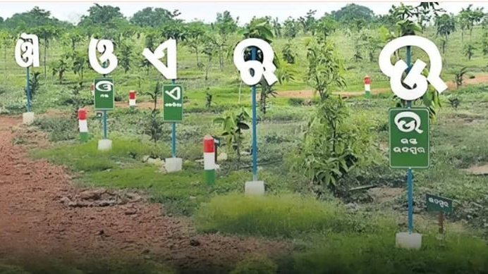Alphabet Garden in Nabarangpur blends language, culture, and ecology