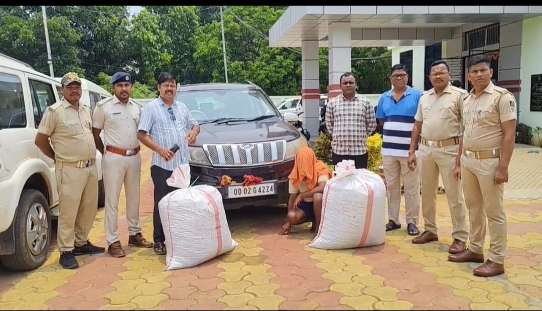 70 Kg ganja seized from luxury car in Khallikote, One held