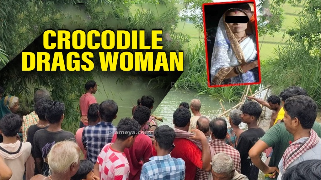 Crocodile Attack Horror: Woman Dragged Away in Kendrapara Creek