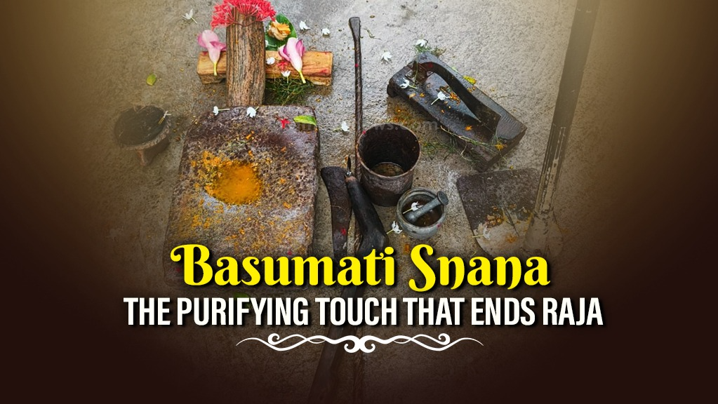 Basumati snana: A sacred farewell to Odisha’s Raja festival