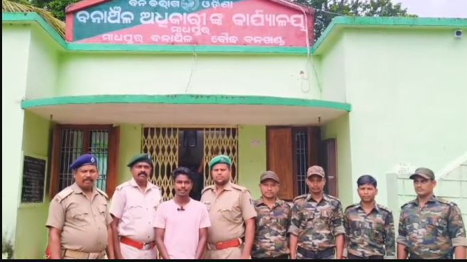 Youth arrested for posting Instagram reel of consuming wild boar meat in Boudh district