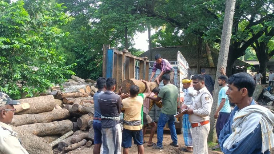 Illegal sawmill busted in Bhadrak; Timber worth over Rs12 Lakh seized