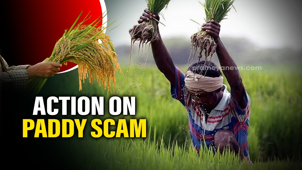 Odisha government to act against fake paddy procurement claims; Show-cause notices to be issued   