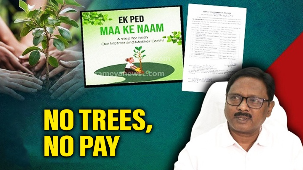 BEOs in Balangir face salary freeze for failing to meet tree plantation targets