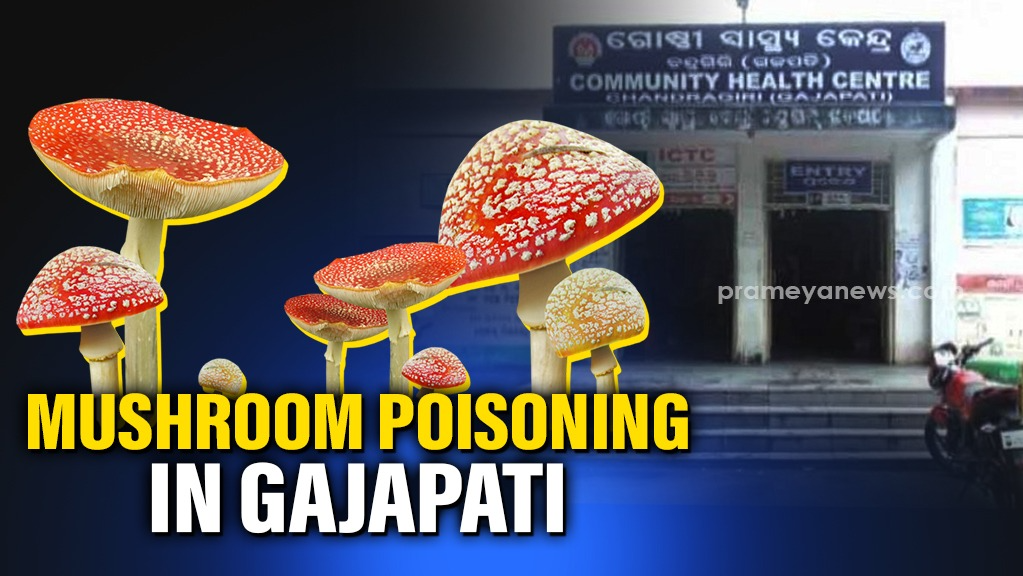 Eight family members critical after consuming poisonous mushrooms in Gajapati