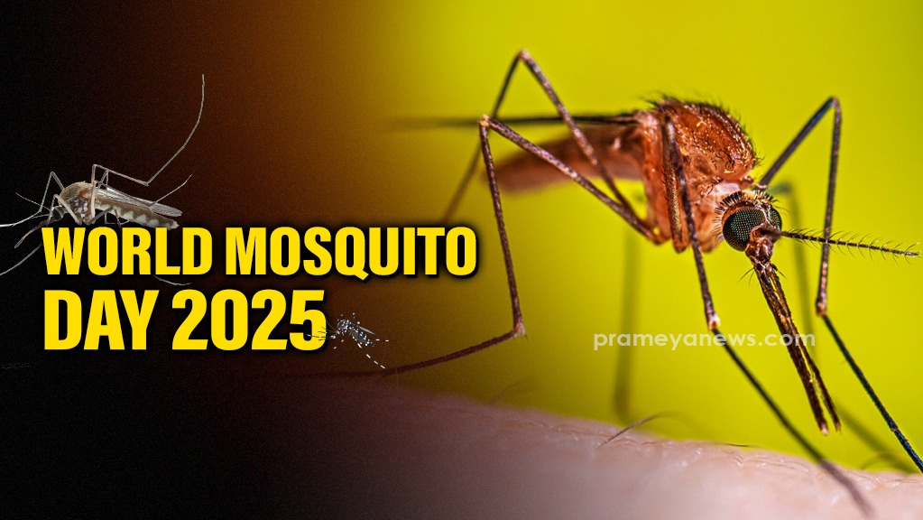 World Mosquito Day 2025: Dengue Cases Surge in Odisha