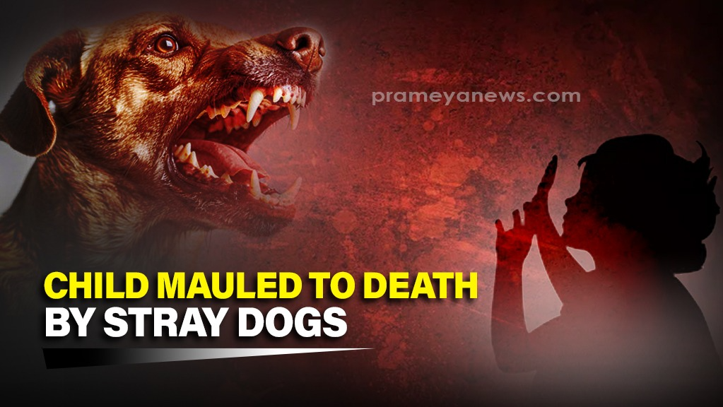 Odisha: 6-Year-Old Girl Killed by Stray Dogs in Koraput