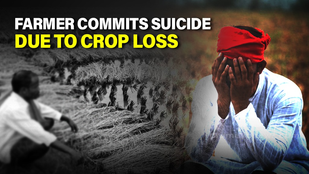 Farmer commits suicide due to crop loss in Odisha’s Kendrapara