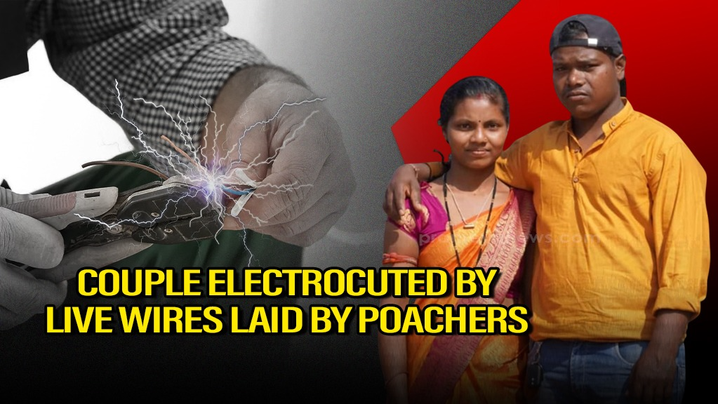 Couple Electrocuted by Poacher's Live Wire in Odisha