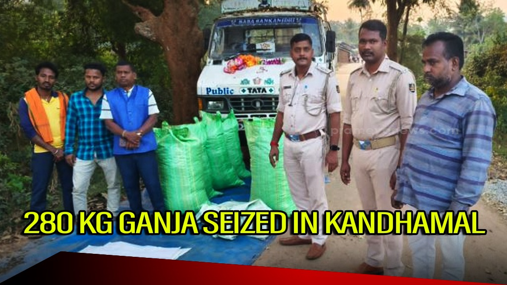 Odisha: 280 Kg Ganja Seized in Kandhamal, Smuggler Escapes
