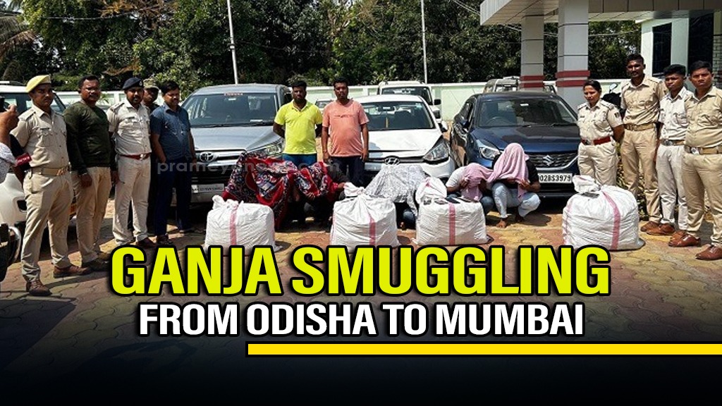 Odisha: Seven arrested for smuggling 160 kg ganja from Gajapati to Mumbai