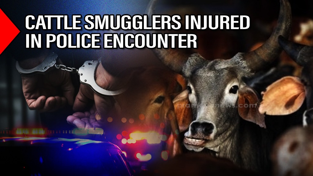 Shootout in Odisha’s Sambalpur: Two cattle smugglers injured in police encounter