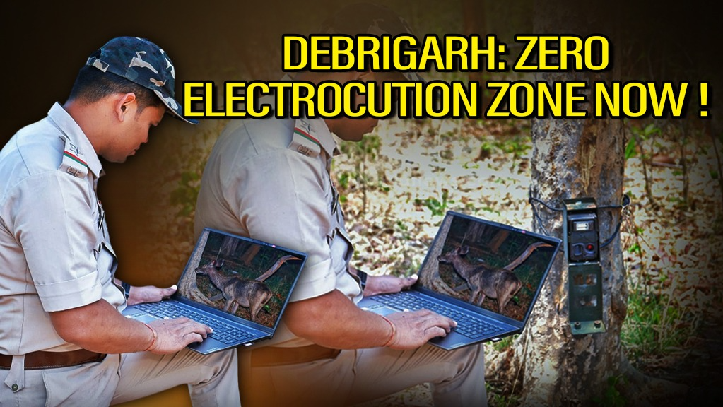 Debrigarh Wildlife Sanctuary declared shock-free zone to protect wildlife
