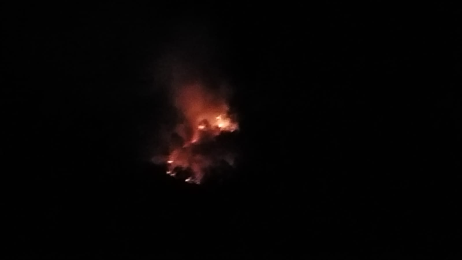 Devastating forest fires in Ganjam hills, wild animals seek shelter in villages