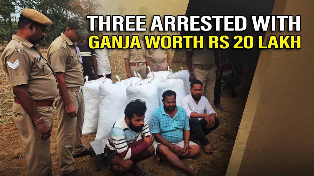 Odisha: Ganja worth over Rs 20 lakh seized in Boudh, three arrested