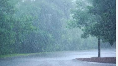 Low-pressure area forms over BoB, rainfall likely in these Odisha districts