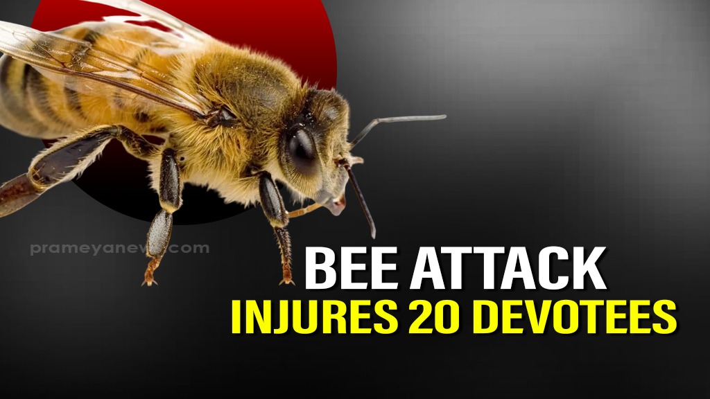 Odisha: Around 20 devotees injured in bee attack at Gajapati’s Chandragiri Shiva Temple