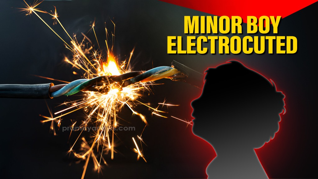 Odisha: 12-yr-old boy electrocuted while watering plants in Balasore