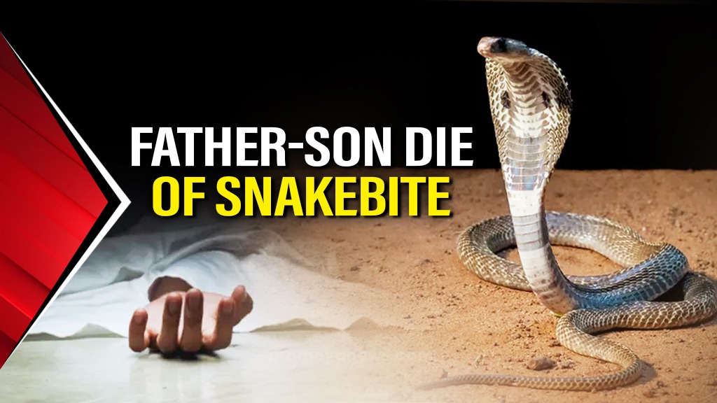 Odisha: Man, five-yr-old son die of snake bite in Mayurbhanj