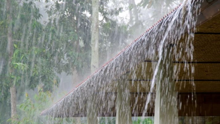 Odisha: Farmer dies as wall collapses due to heavy rain