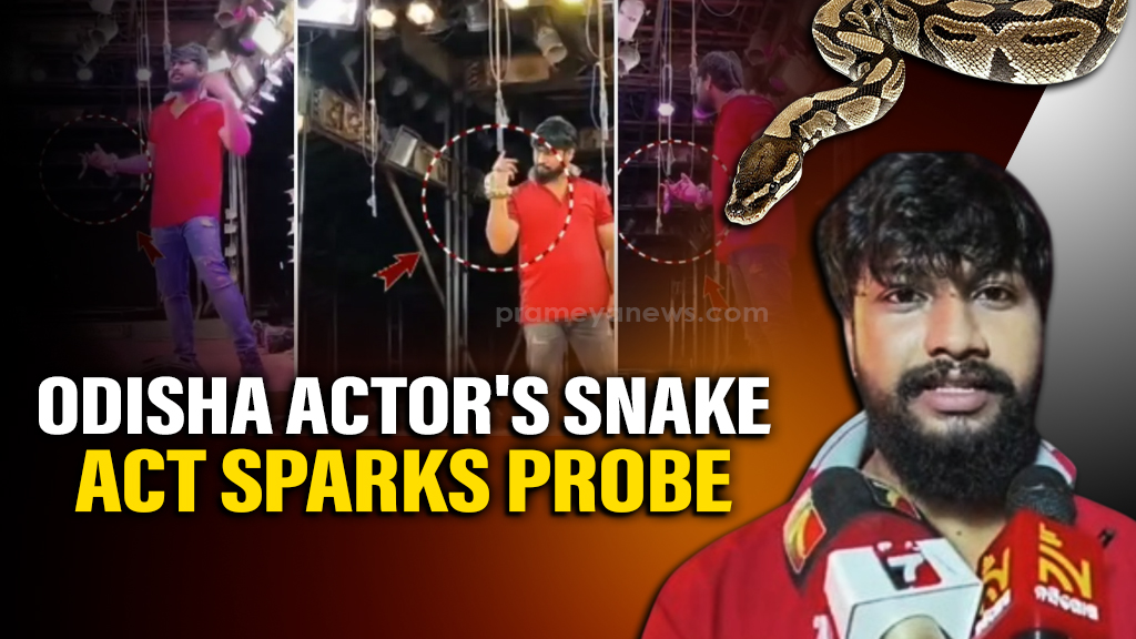 Actor Performs with Live Snake in Odisha Show