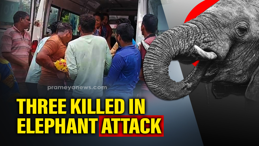 Odisha Elephant Attack: 3 Dead, Villagers Protest