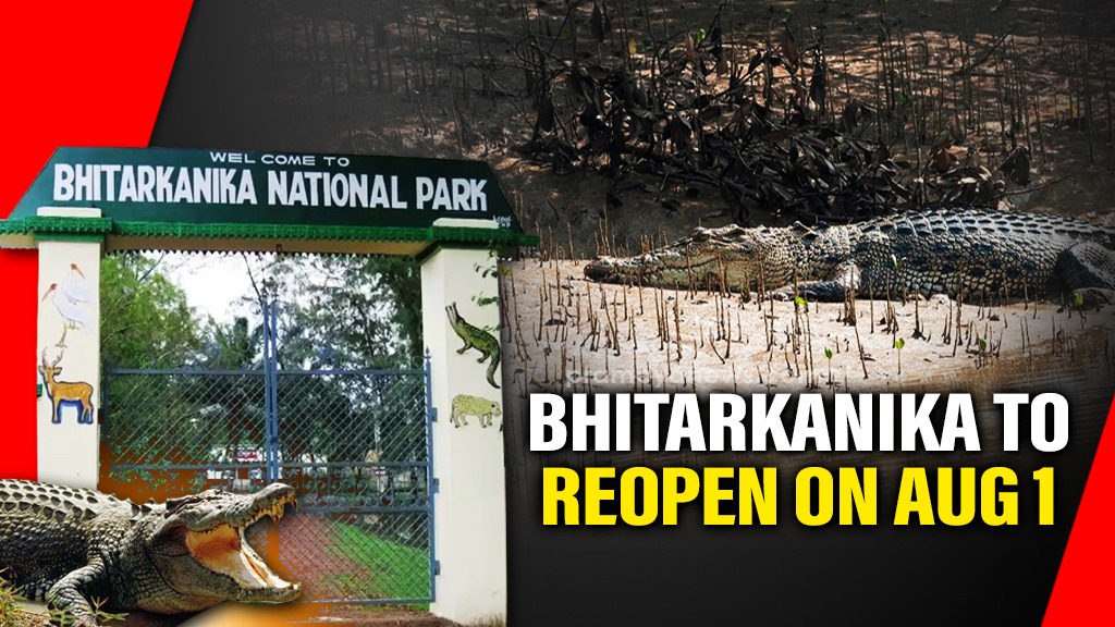 Bhitarkanika Park Reopens Aug 1 | Croc Nesting Ends