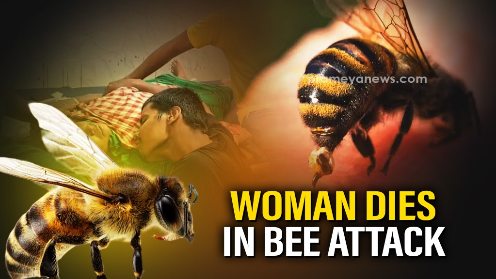Woman killed in bee attack in Odisha’s Ganjam