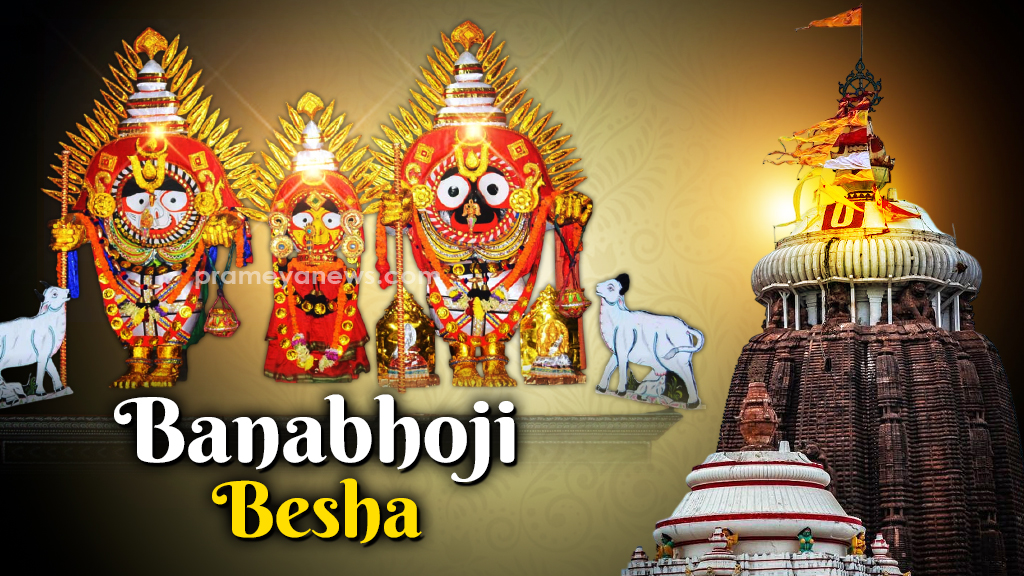 Lord Jagannath & siblings adorned in Banabhoji Besha today