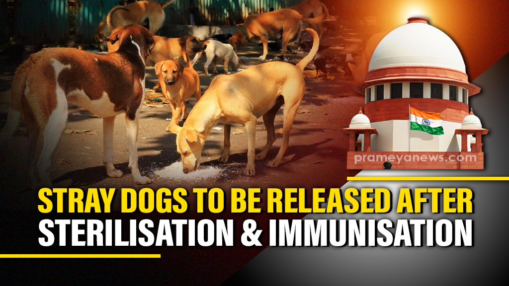 SC revises stray dog relocation orders, mandates release after sterilisation & immunisation
