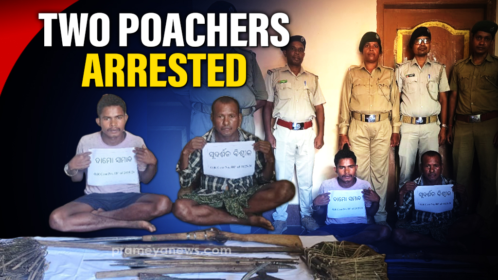 Odisha Poachers Caught in Kuldiha Wildlife Crackdown