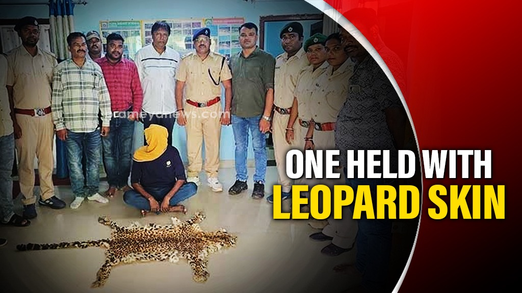 Leopard Skin Seized in Nuapada | 1 Arrested