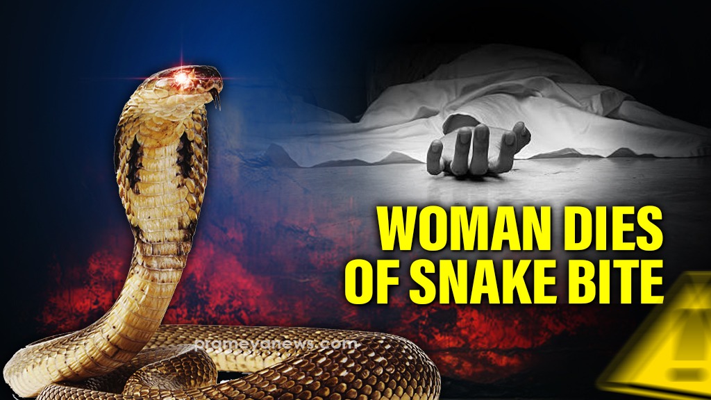 Odisha: Woman dies of snake bite in Nuapada, narrow escape for five-yr-old daughter